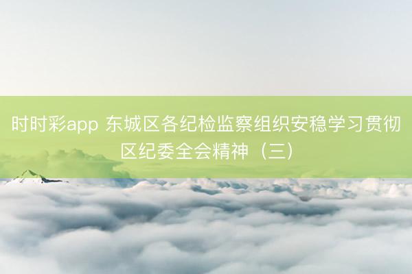 時時彩app 東城區(qū)各紀檢監(jiān)察組織安穩(wěn)學習貫徹區(qū)紀委全會精神(三)
