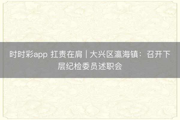 時時彩app 扛責在肩 | 大興區瀛海鎮:召開下層紀檢委員述職會