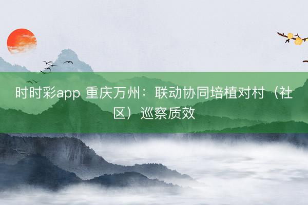 時時彩app 重慶萬州:聯(lián)動協(xié)同培植對村(社區(qū))巡察質(zhì)效