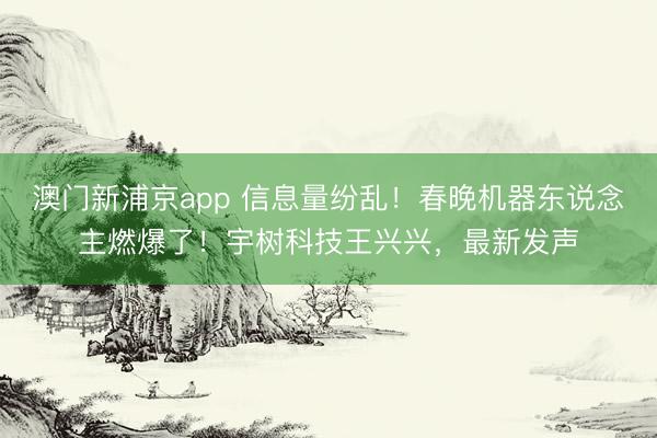 澳門新浦京app 信息量紛亂！春晚機器東說念主燃爆了！宇樹科技王興興，最新發聲