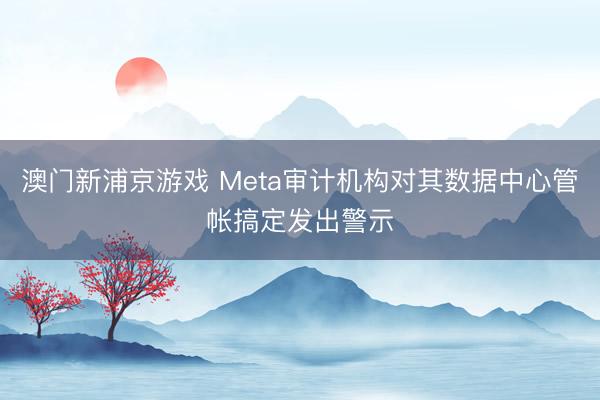 澳門新浦京游戲 Meta審計機構對其數據中心管帳搞定發出警示
