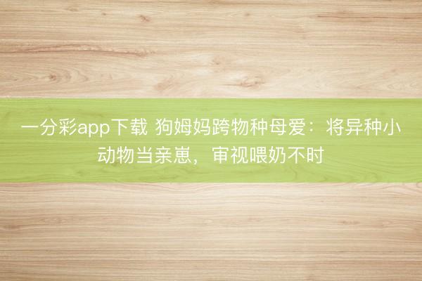 一分彩app下載 狗姆媽跨物種母愛：將異種小動物當親崽，審視喂奶不時