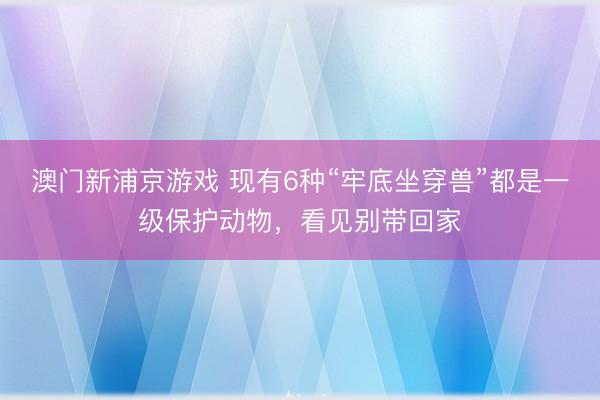 澳門新浦京游戲 現有6種“牢底坐穿獸”都是一級保護動物，看見別帶回家